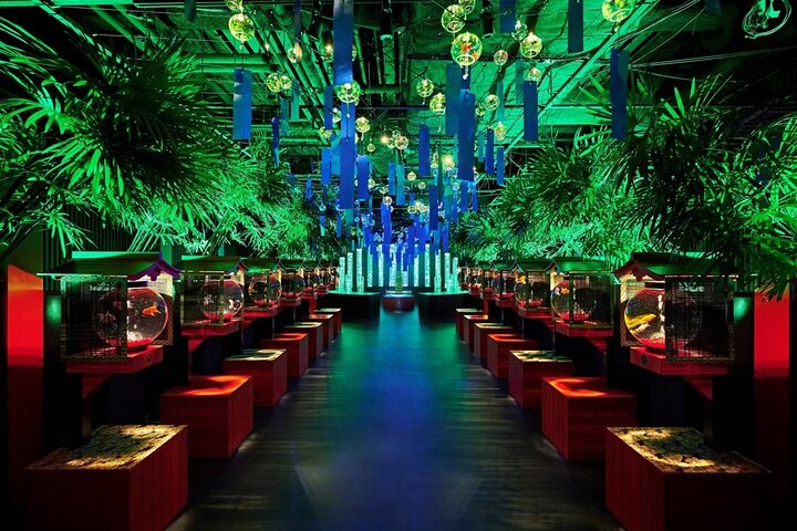 Tokyo Art Aquarium Museum E-Ticket with optional Tokyo Metro Pass